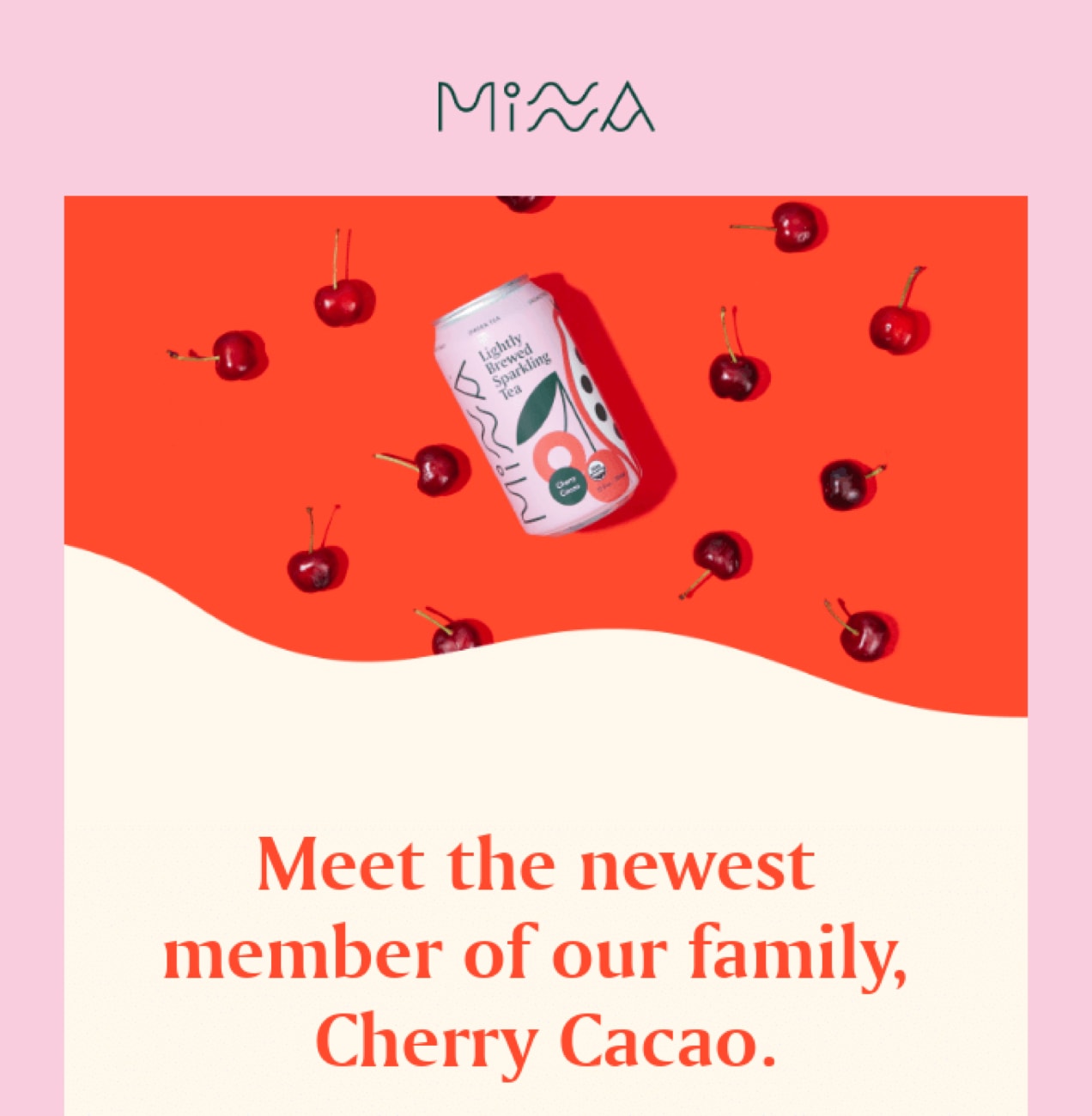 A designed email from Minna with bright colors and patterns